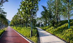 ʲô�Ǻ��d������