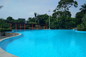 �����ˮ��ƺ��