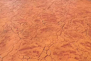 ��ģӡ����������ĥ��